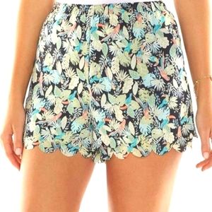 LC Lauren Conrad Botanical & Toucan Print Shorts Size XS